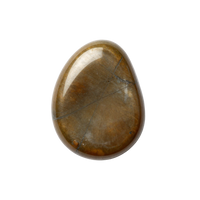 Bronzite